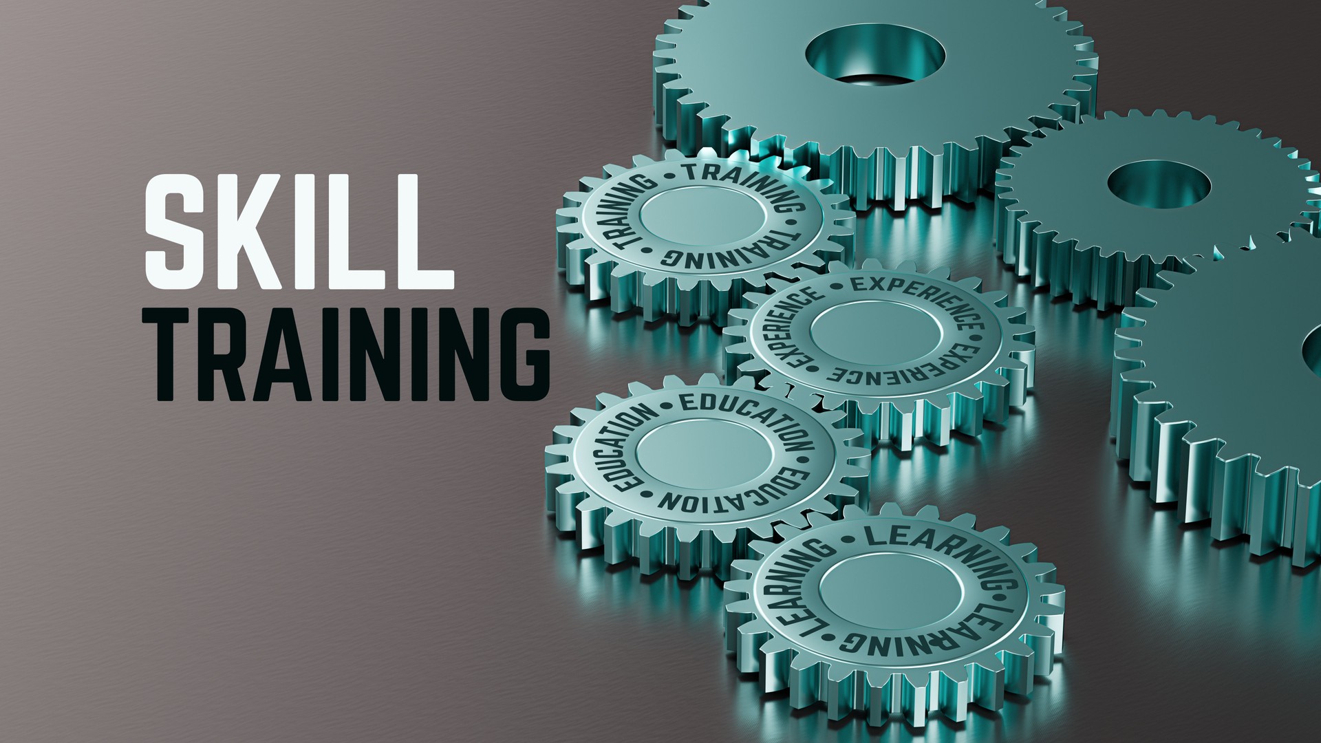 Training Education Experience Gears Concept
